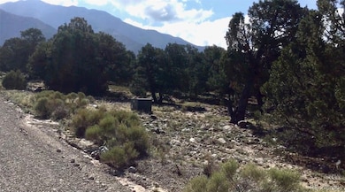 3514 Forest Trail Overlook, Crestone, CO 81143 - photo 4