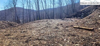 Lot 23 Bob Timberlake Dr, Boone, NC 28607 - photo 5