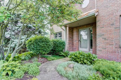 full_size_20004392-004