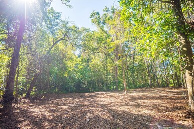 21490 NW 106th Court Rd, Micanopy, FL 32667 - photo 6