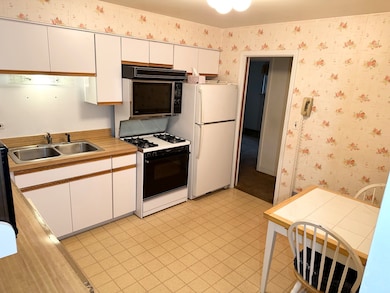 5844 Warren St, Morton Grove, IL 60053 - photo 6