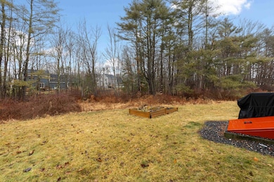 Side/back yard