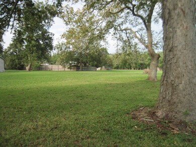 217 High St, Brazoria, TX 77422 - photo 3