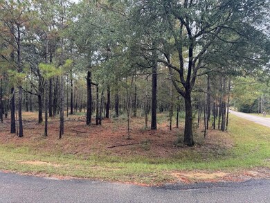 NHN Lost Creek Ln, Picayune, MS 39466 - photo 3