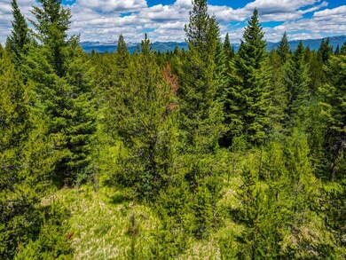 0 Thunderbolt Place unit 67 541959, McCall, ID 83638 - photo 2