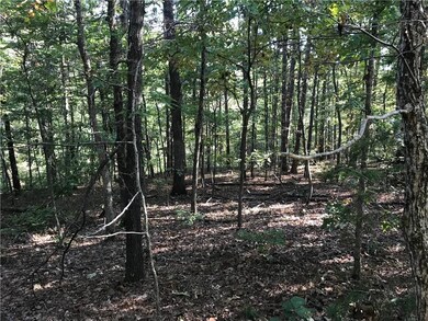 0 Burghley Ln unit 1129754, Bella Vista, AR 72714 - photo 6