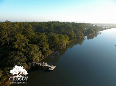 421 Powell Oak Dr, Ridgeland, SC 29936 - photo 4