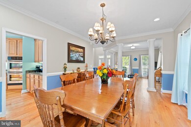 10513 Big Horn Dr, Fredericksburg, VA 22407 - photo 7