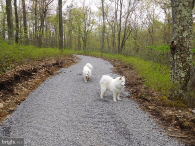 31 Pine Point Dr, Maysville, WV 26833 - photo 3