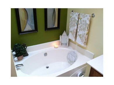 Master Bath/Spa. Soaking Tub.  2 Skylights Above; 