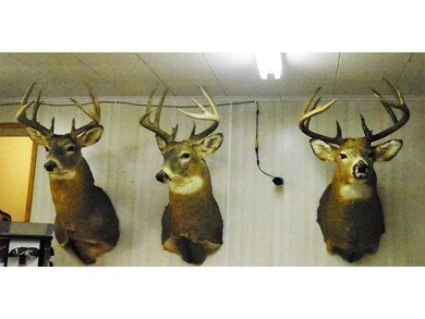 A display of the genetics in this area!
