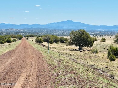 IMG_20250701_123025
