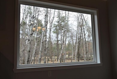 Picture Window 1