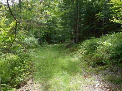 unlisted-address, Waterford, VT 05819 - photo 3