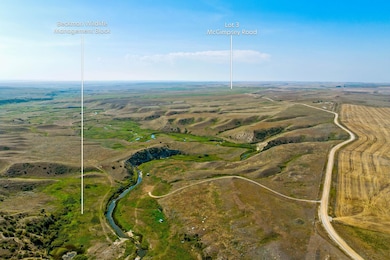 Lot 4 McGimpsey Rd, Denton, MT 59430 - photo 2