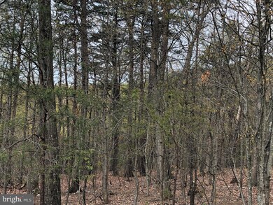 1042 Pontzer Rd, Strasburg, VA 22657 - photo 4