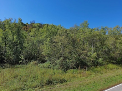 State Route 329, Armadale, OH 45711 - photo 7