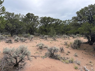 7863 Platten Rd, Fort Garland, CO 81133 - photo 2