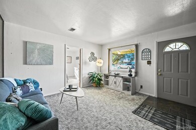 6650 Irving St, Denver, CO 80221 - photo 3