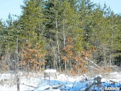 Pcl 2 Woodland Pass, Danbury, WI 54830 - photo 4