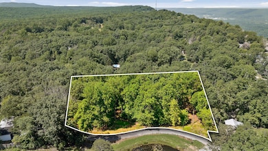 Lot 5 Overlay-1