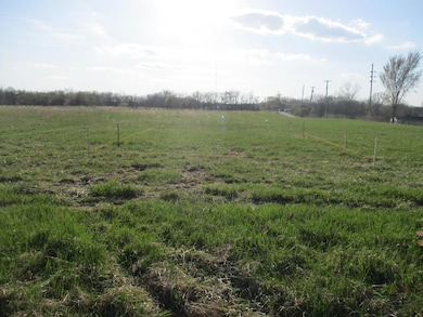 1103 N Walnut St, Kirksville, MO 63501 - photo 4