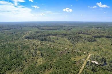Lot 22 Growing Timbers Rd, Crawfordville, FL 32327 - photo 2
