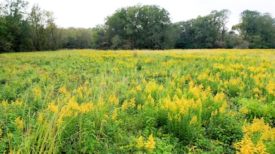 5015 Farm To Market Road 561, Simms, TX 75574 - photo 3