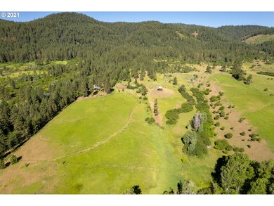 47130 Ryall Rd, Halfway, OR 97834 - photo 7