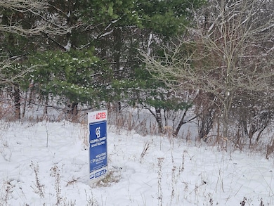 11298 S Gordon Ave, Grant, MI 49327 - photo 7