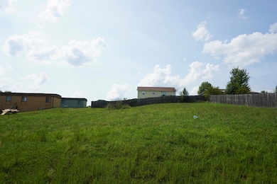 000 Jon Streeet, West Plains, MO 65775 - photo 2