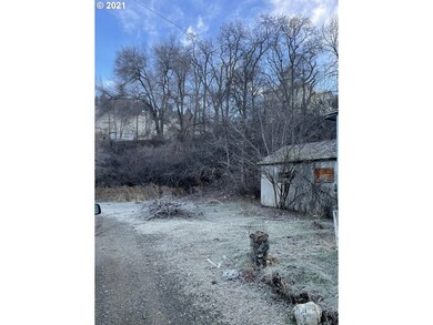 213 Washington St, Canyon City, OR 97820 - photo 4