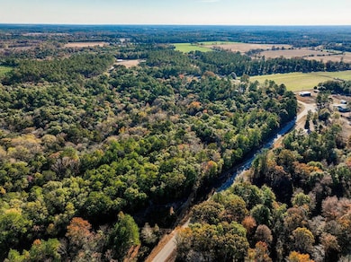 15.6+/- Acres Rose Hill Dozier MacEdonia Rd, Andalusia, AL 36421 - photo 6