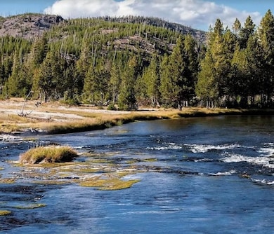 Financing Miningclaim Ownership, West Yellowstone, MT 59758 - photo 3