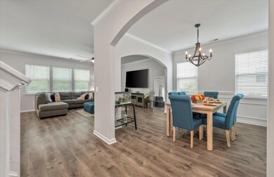 164 Blackwater Way, Moncks Corner, SC 29461 - photo 6