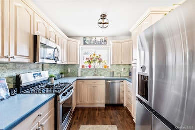 Kitchen featuring stainless steel appliances, light brown cabinetry, dark wood-type flooring, and tasteful backsplash