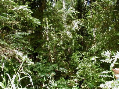 unlisted-address, Raymond, WA 98577 - photo 7