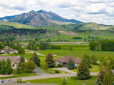 Pano Bridger Views