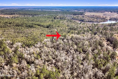 0 Kit Maples Rd, Perkinston, MS 39573 - photo 7