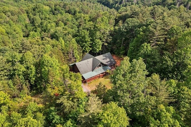 3691 Flagpole Rd, Ellijay, GA 30540 - photo 5