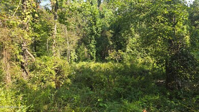 00 Nelson Corner Rd, Roxie, MS 39661 - photo 2