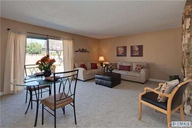 Large living room/dining area combo