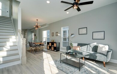 Living Space (3)