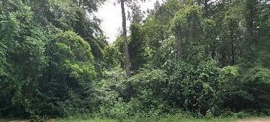 000 Eaton Rd, Tylertown, MS 39667 - photo 2