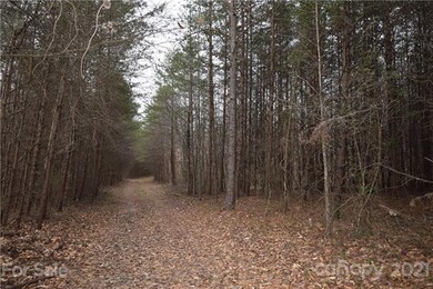 00 Robinson Yelton Rd, Clover, SC 29710 - photo 2