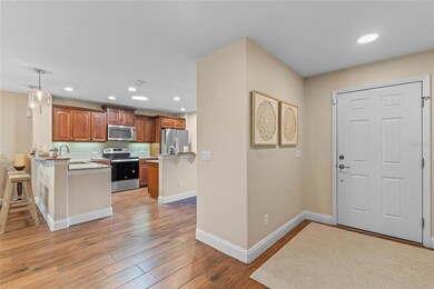 21719 Belgian Ct, Mount Dora, FL 32757 - photo 4