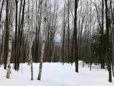 0 Timber Ln unit 4672942, Franconia, NH 03580 - photo 5