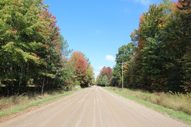 Road View