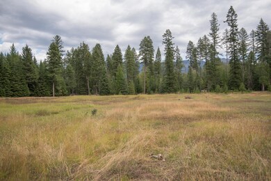 352 Murer Ln, Bigfork, MT 59911 - photo 4