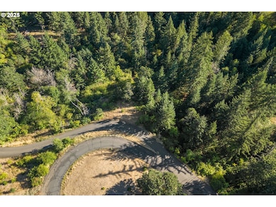 25 Jewett Creek Loop Rd, White Salmon, WA 98672 - photo 6